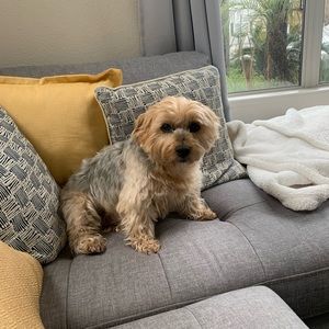 Meet your Posher, Sheda